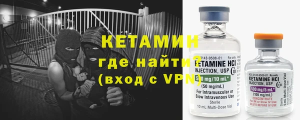 шишки Белоозёрский