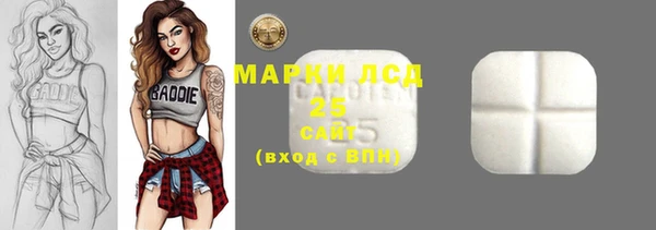 шишки Белоозёрский