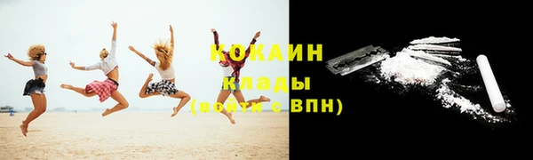 шишки Белоозёрский