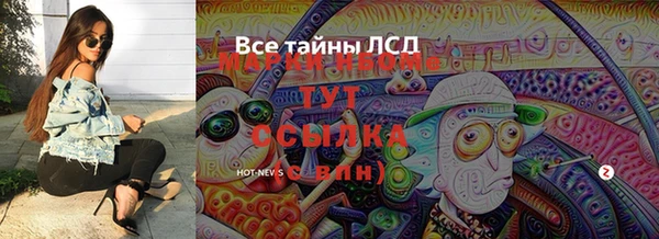 шишки Белоозёрский