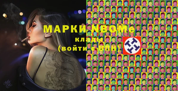 шишки Белоозёрский