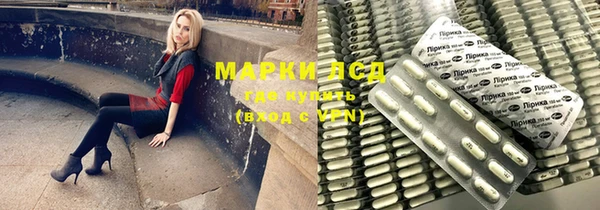 шишки Белоозёрский