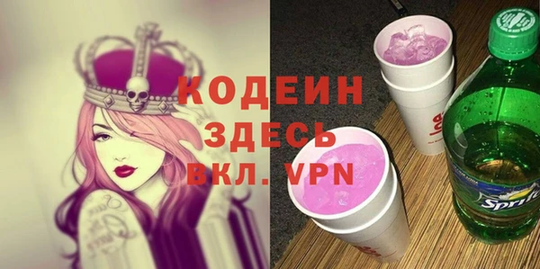 шишки Белоозёрский