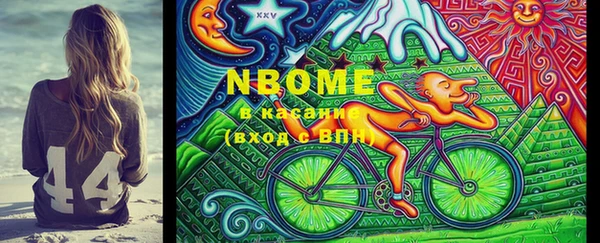 шишки Белоозёрский