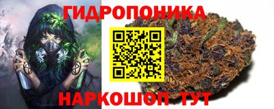 PSILOCYBIN Мариинск