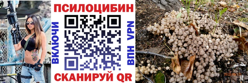 кракен зеркало  хочу   Унеча  Галлюциногенные грибы MAGIC MUSHROOMS 